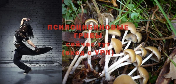 спайс Лабытнанги