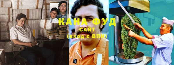 МДПВ Лагань