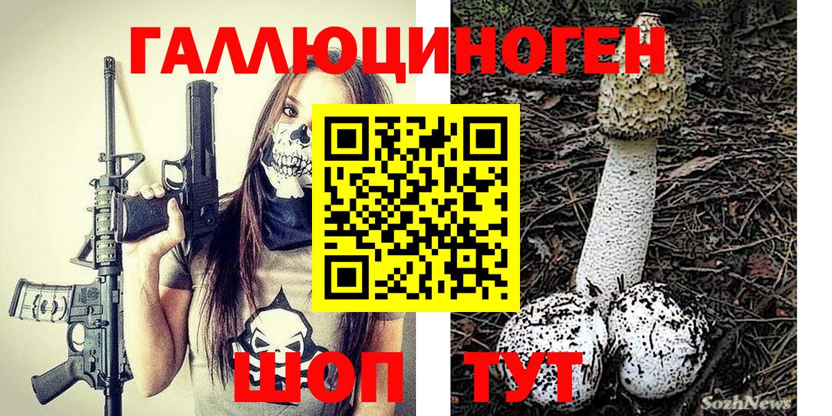 Галлюциногенные грибы Cubensis  Псилоцибиновые грибы MAGIC MUSHROOMS  Люберцы 
