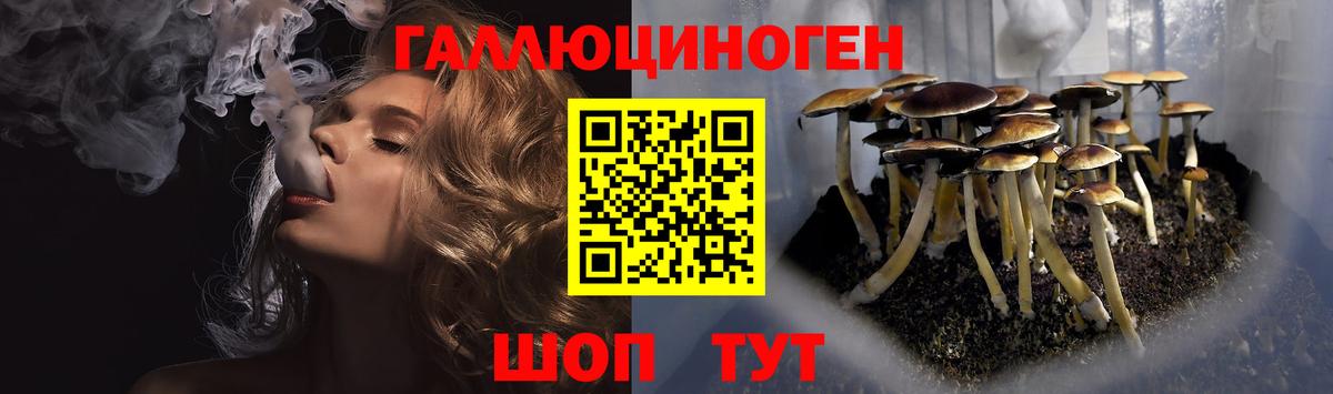 Галлюциногенные грибы мицелий  Галлюциногенные грибы прущие грибы  Вход с VPN  Люберцы 